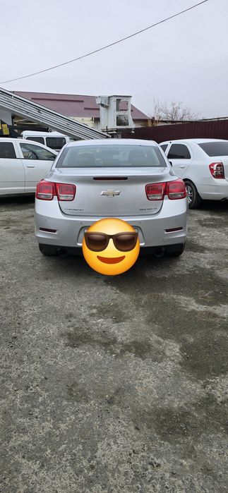 Malubu 2podissa luki bor