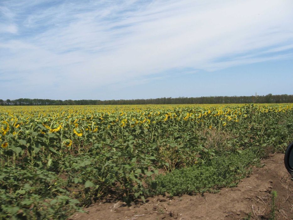 Парцел до плаж под наем дългосрочно