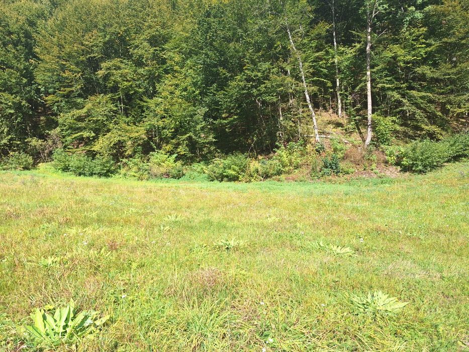 Teren de vazare in Maguri Racatau / Valea Racataului