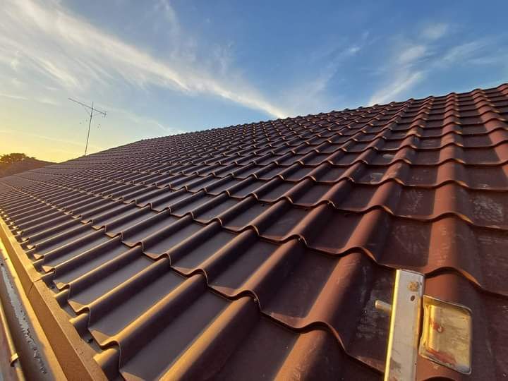 Reparații Acoperișuri și Dulgherie – Sisteme Pluviale Intervenții Rapide Arad