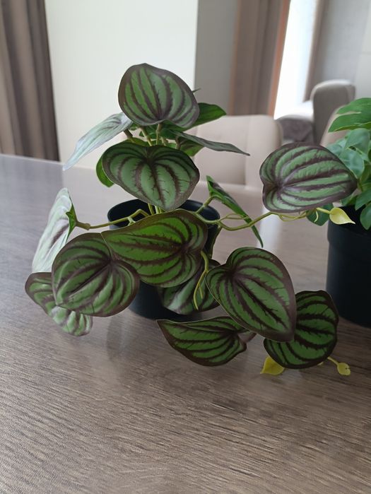 Полочка для ванной и кухни