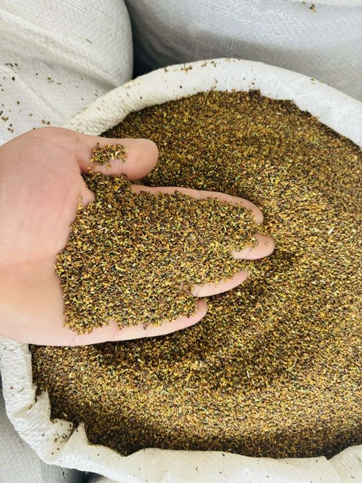 Vând sămânță de lucernă calitate a 2