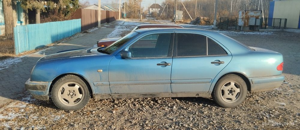 Продам живого мерса