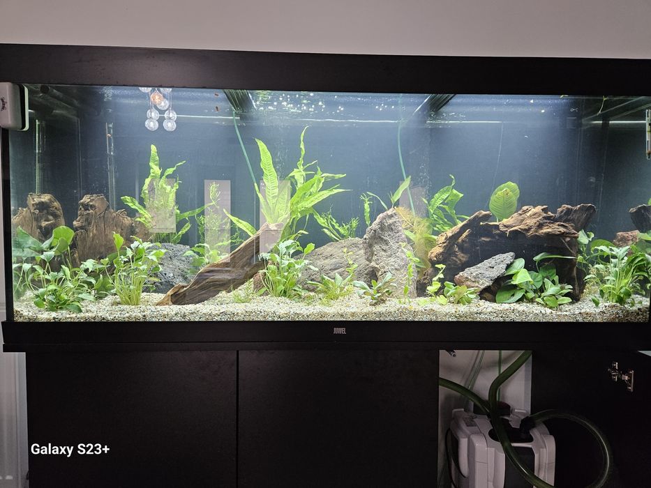 Acvariu de vanzare 450litri, 160litri,110litri cu
