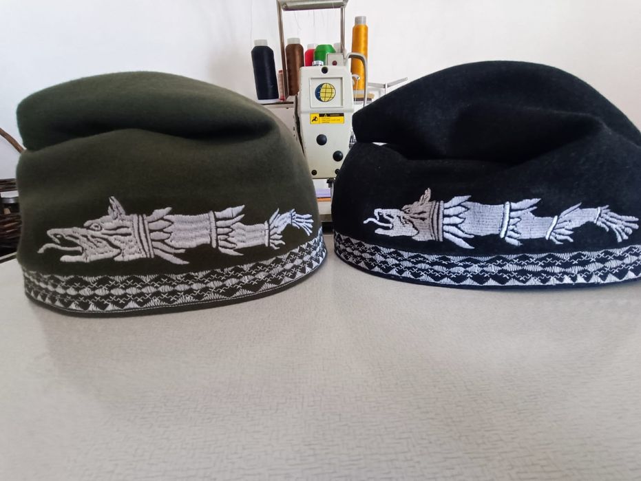 Pileus ,căciula dacului.