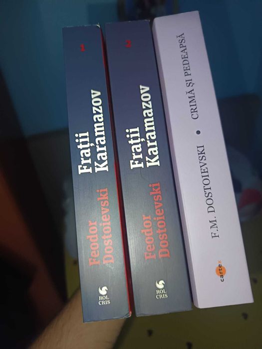 Fratii Karamazov, Crima si pedeapsa - Dostoievski