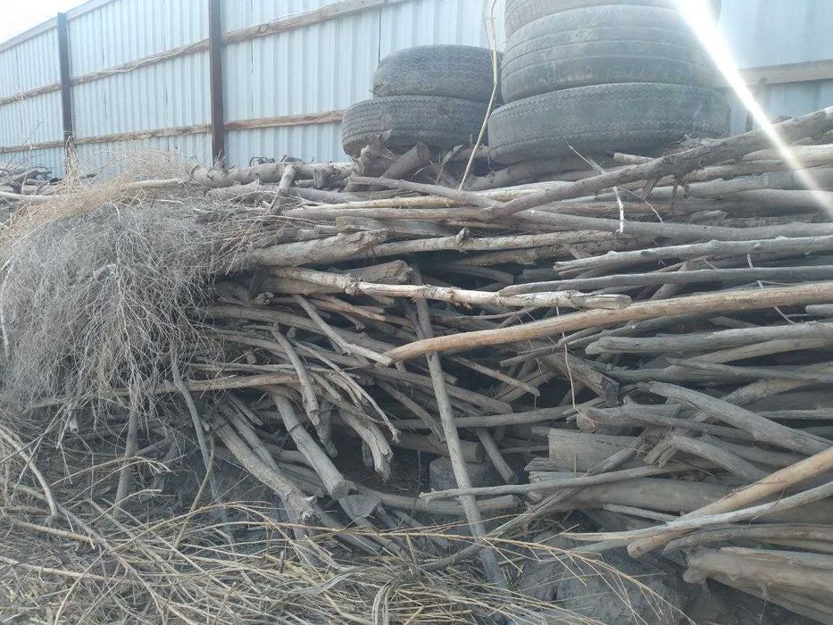 Qadalar (otinlar) satiladi, manzil:No'kis, Kebir awil 36 marshurutk-,