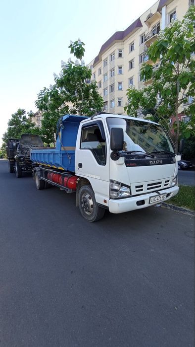 Тулада бір қыз бір түнге жыныстық қатынасқа түскісі келеді.