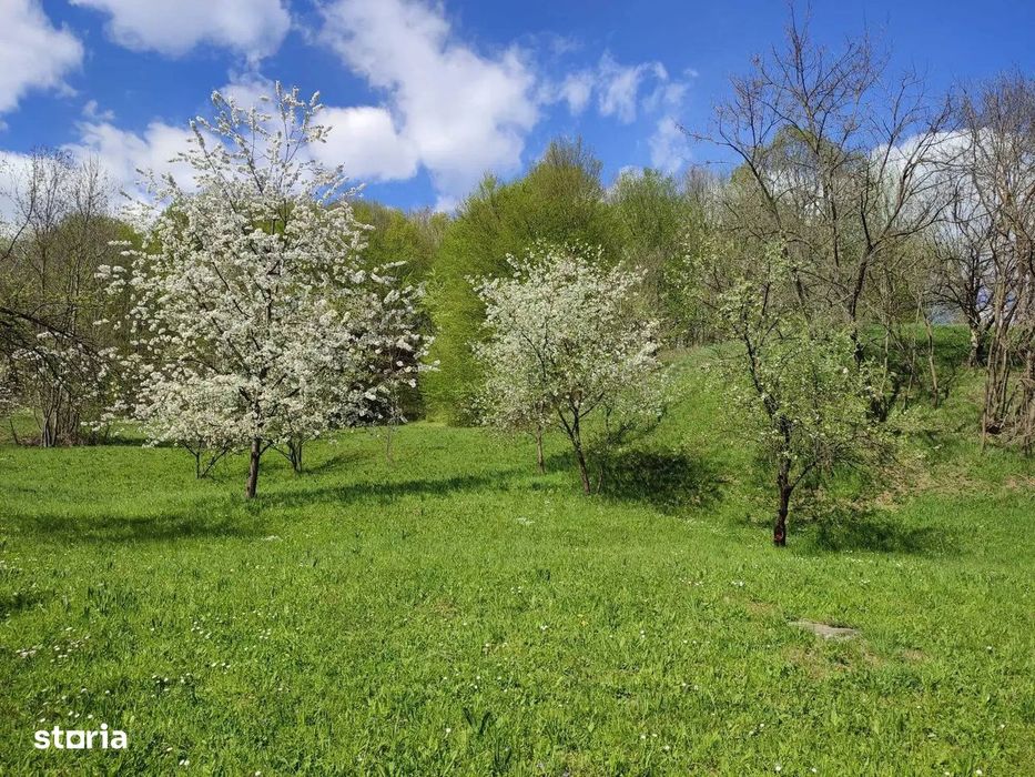 Teren Intravilan Cu Padure | Prahova| Provita De Sus| Breaza