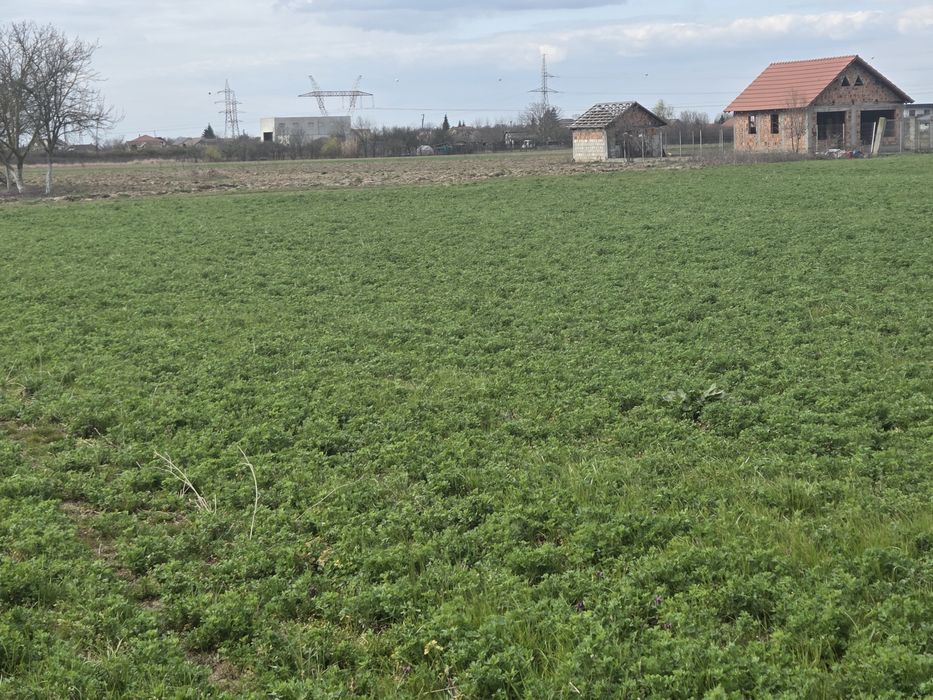 Vand teren extravilan la capatul strazii Aleco Russo in spate la noul CBA