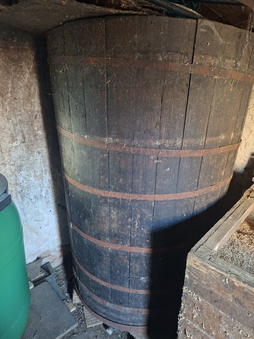 Vând putini/brădoi diferite categorii si greutate de stejar sanatoase cei interesati sa sune!! Nu deranjati inutil 0771616567 raspund si pe whatsapp