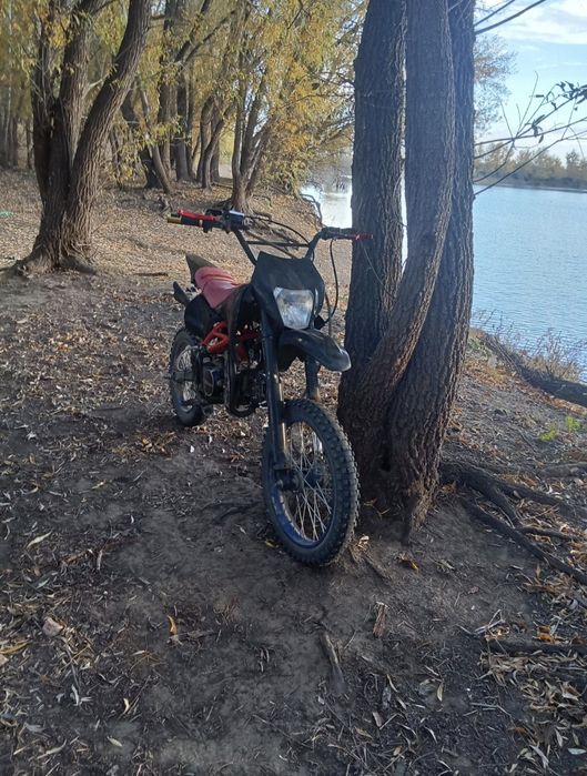 продам питбайк irbis ttf125