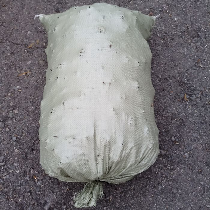 Продам шишки сухие сосновые