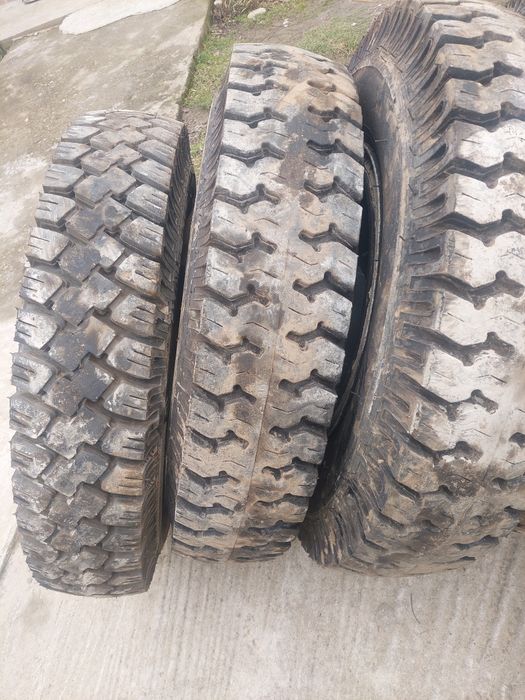 Roti 9.00 r 20 danubiana