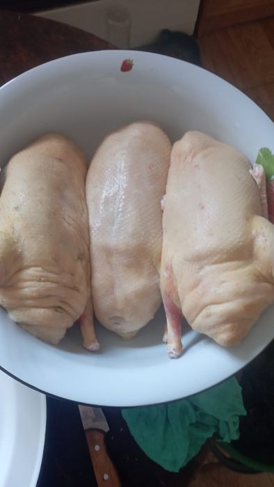 Продам мясо гуся