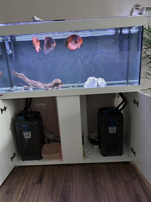Acvariu Eheim 250 L + suport acavriu