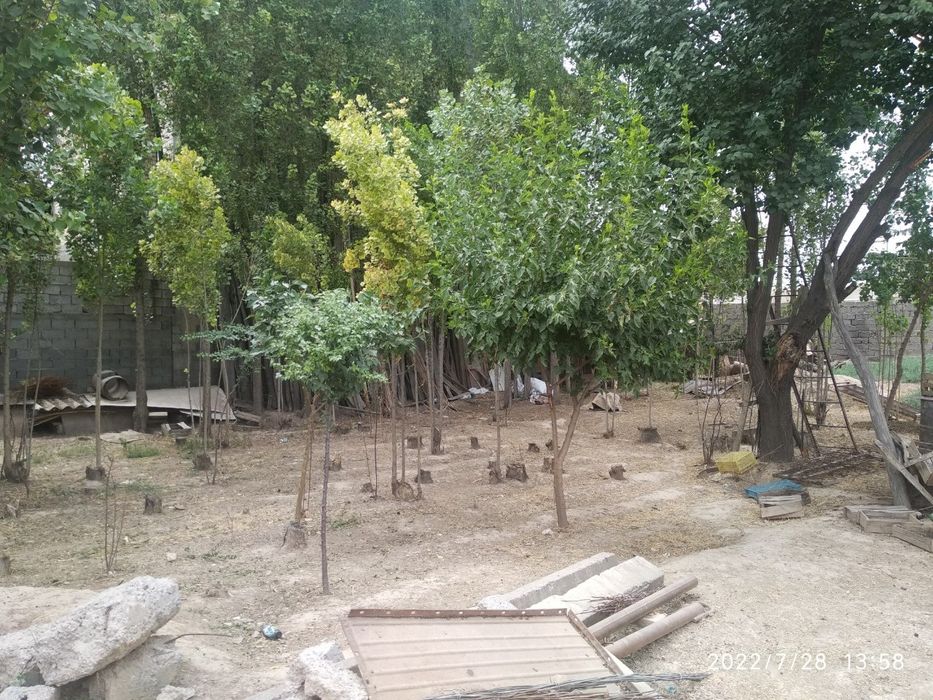 Zangiota,4 sotix yer sotiladi