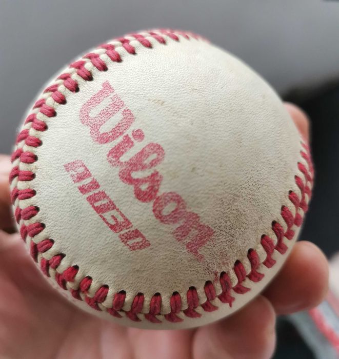 Minge Basebal Italia Club Oficial