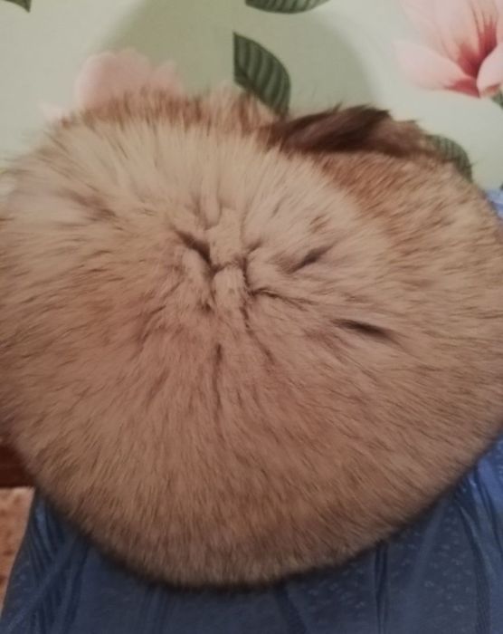 Қыстық  бас  киім