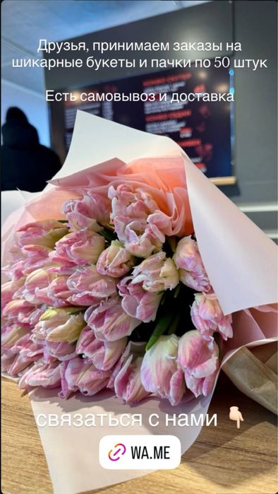 тюльпаны оптом и в розницу