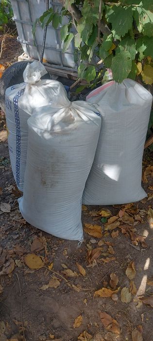 Биогумус Тыңайтқыш