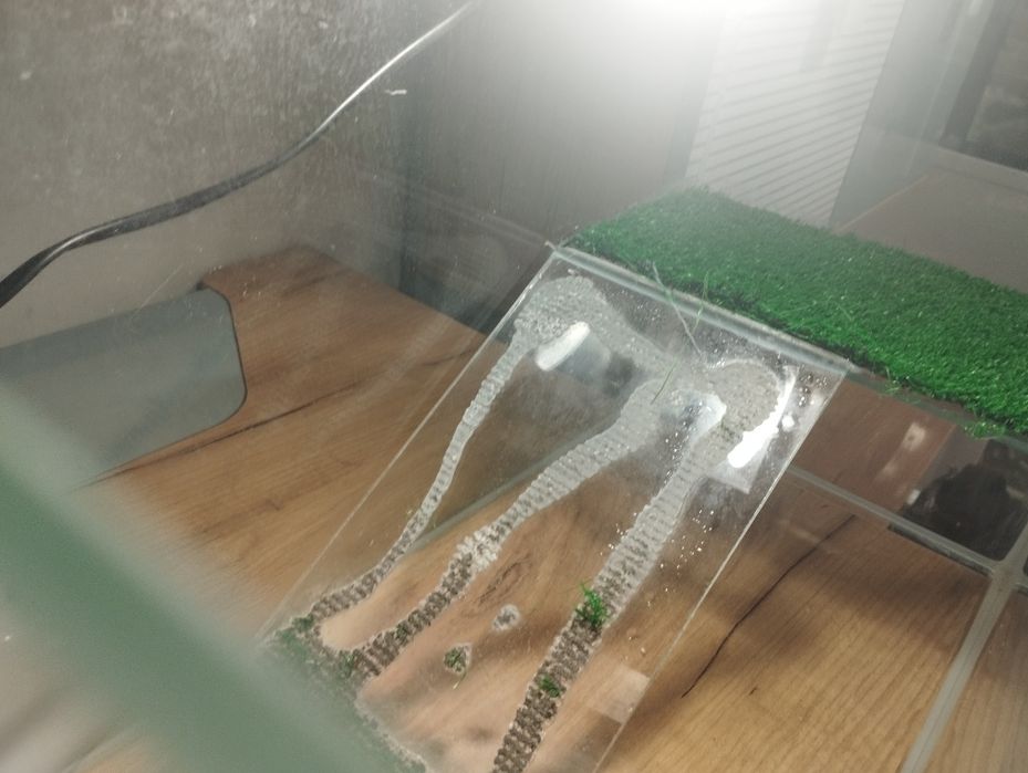 Аквариум для черипахи