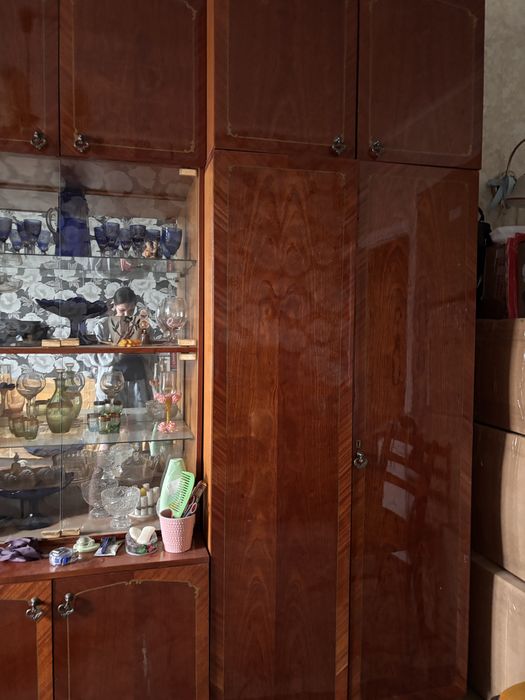 Отдам сненку за порошок