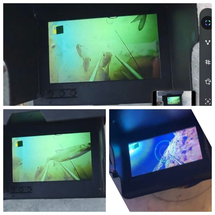 Аренда   палатка