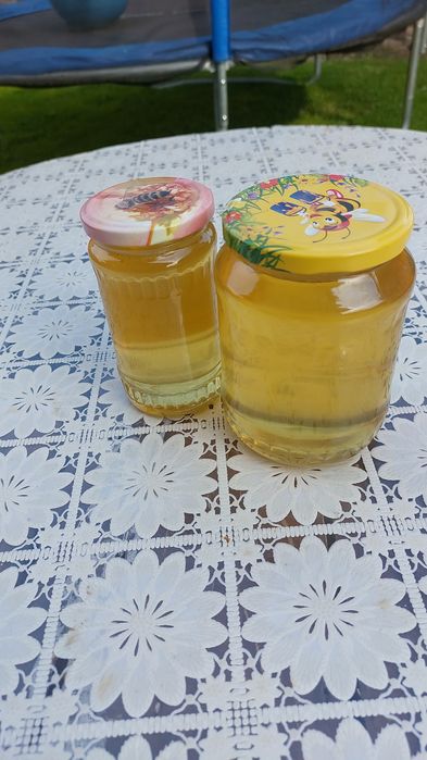 Vând albine 30 familii