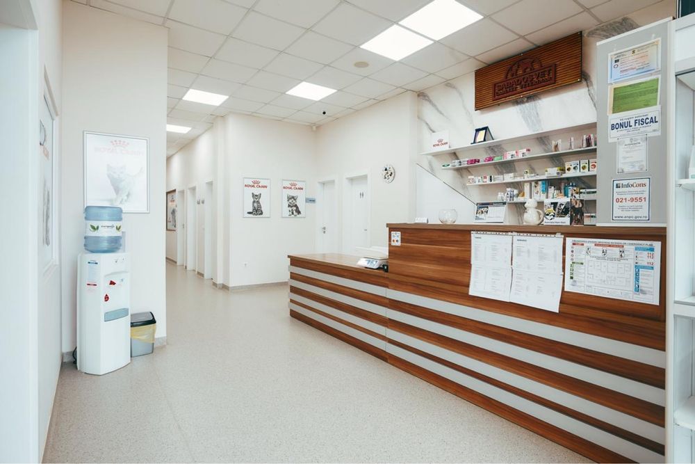 Spațiu comercial 160+40 mp, Careiului 96, Satu Ma