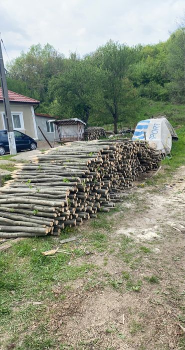 Vând parii gard eletric, vie, rosii, fasole,gard.