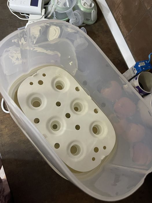 Sterilizator electric cu abur