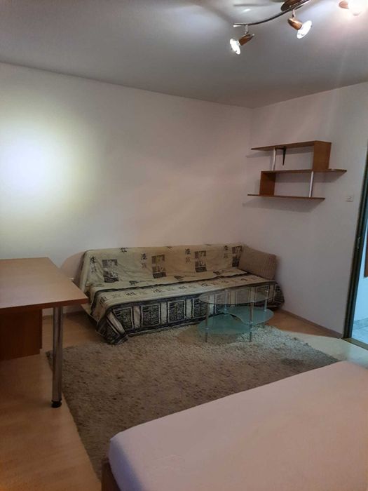 Apartament cu o camera in cartierul Dambu