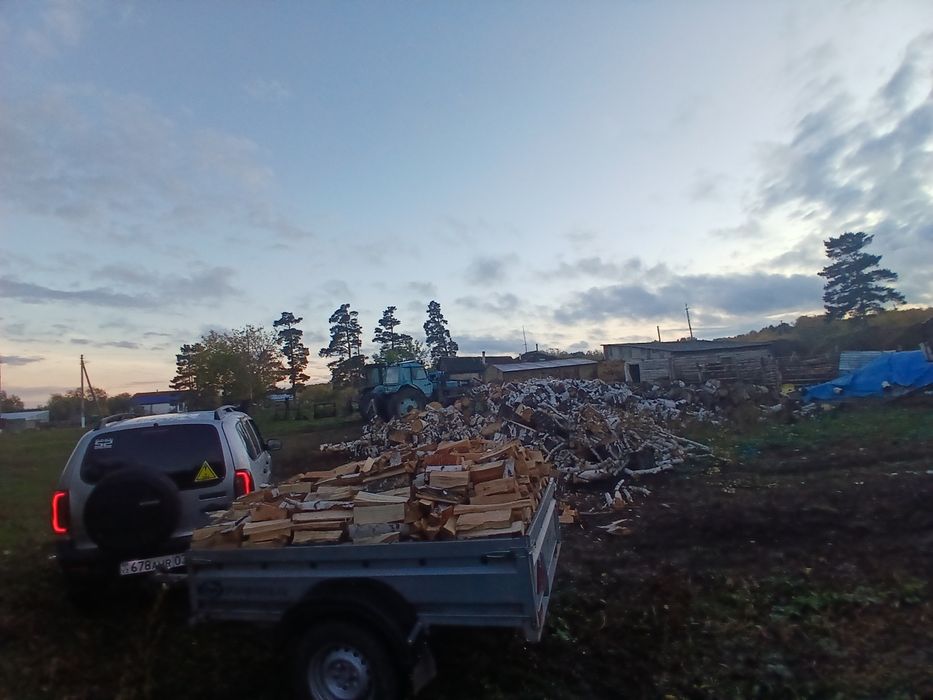 Дрова.берёза.прицеп.