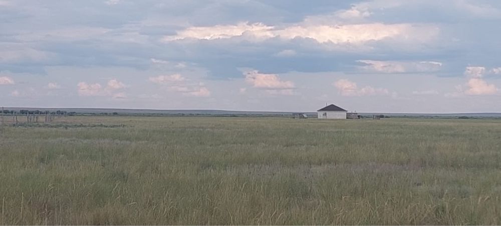 Сатылымда қожалық.