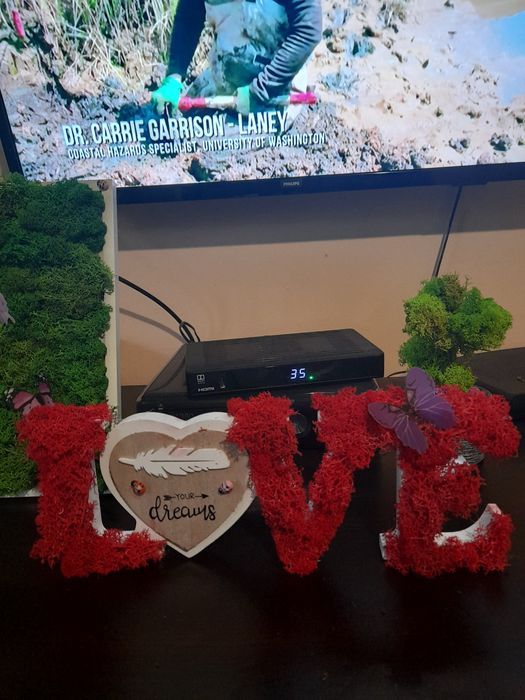 Картини от скандинавски мъх