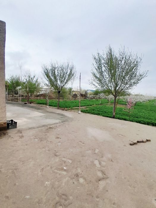 Uy Sotiladi !!! Narxi ustida kelishiladi