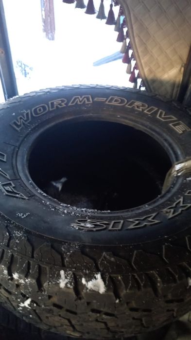 Продам шины 31×10 50LT15