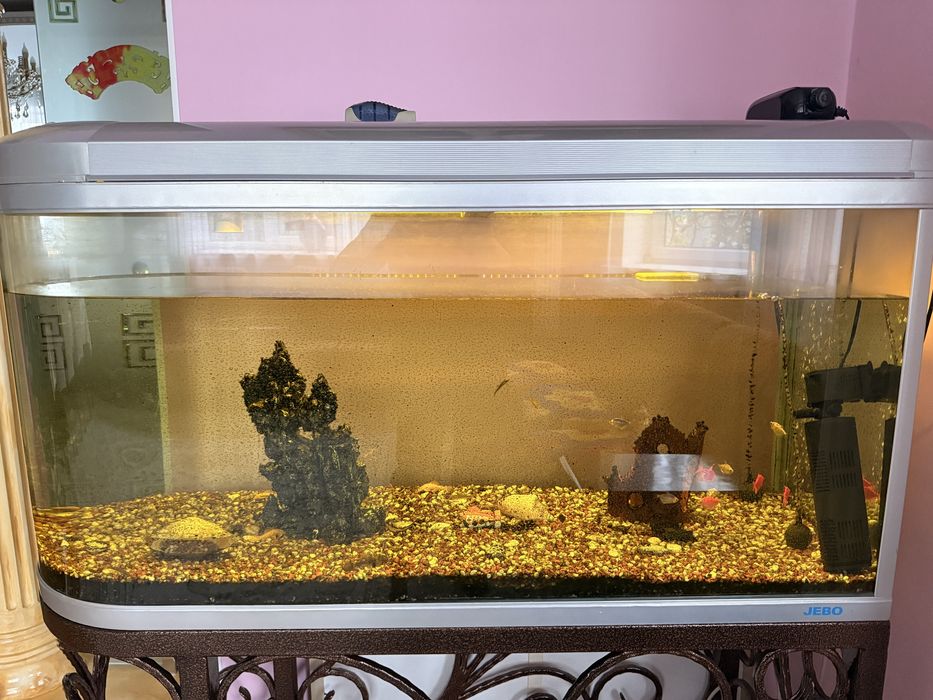 Аквариум 400 литров с рыбами