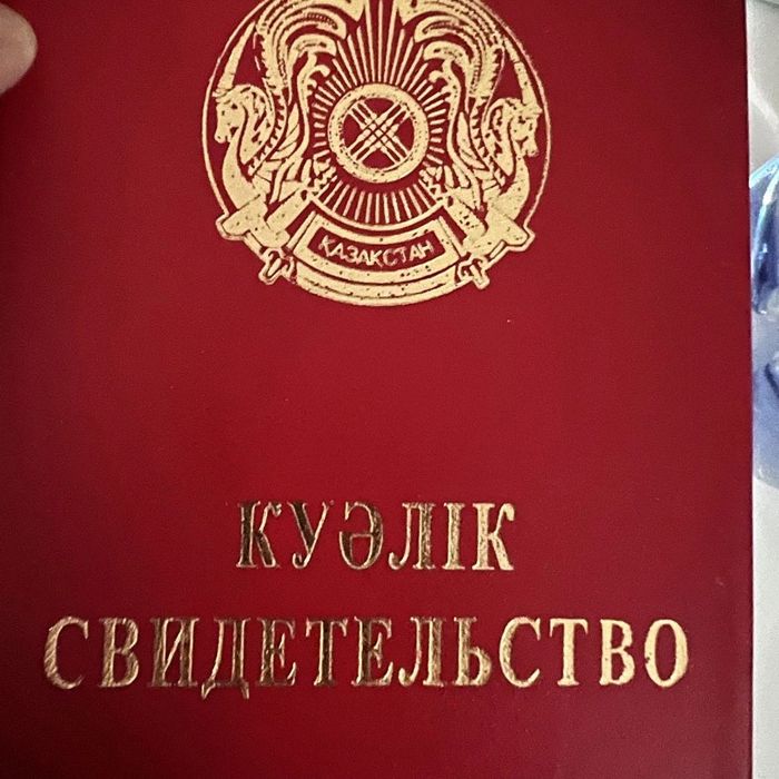 профессиональный массаж