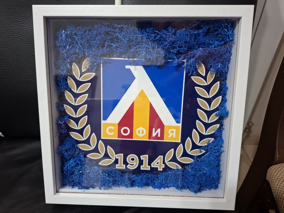 Ръчно изработена 3D рамка с логото на ЛЕВСКИ!
