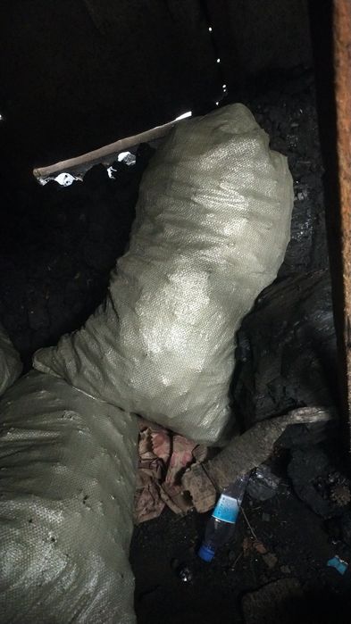 Шишки сухие сосновые