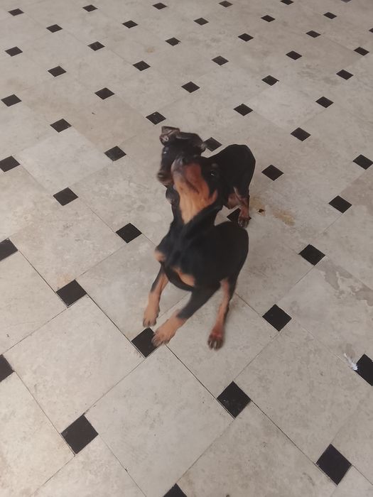 4х месячные воспитание