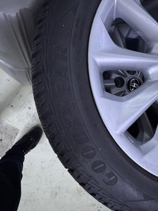 Покрышка. Оригинал.