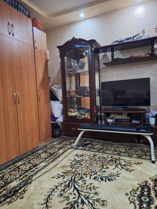 Чиланзар 1. Аллея. Высокопотлочка.