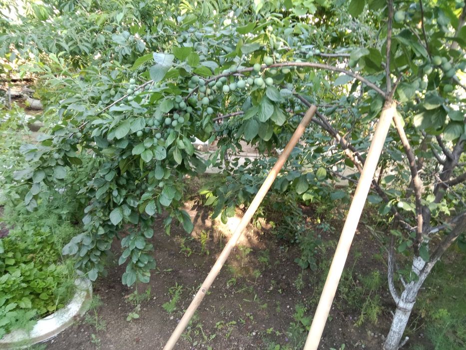 Продажа дома частный сектор гмз