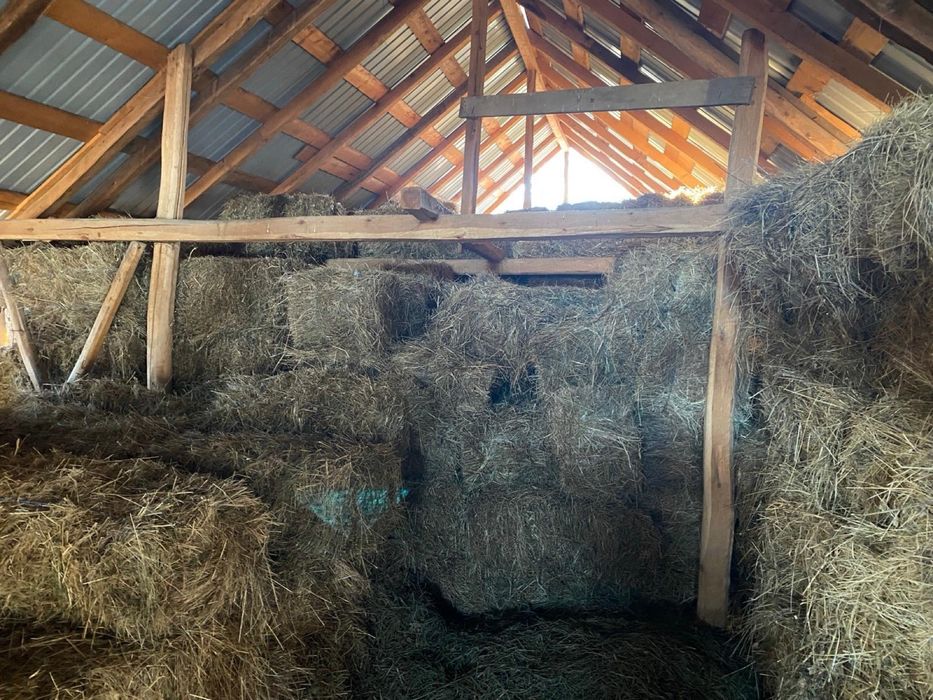 Vand baloti fan calitatea1 depozitati in conditii