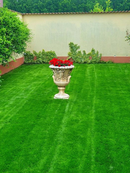 Ofer catre inchiriat pe termen lung, vila de lux in cartier Trivale.