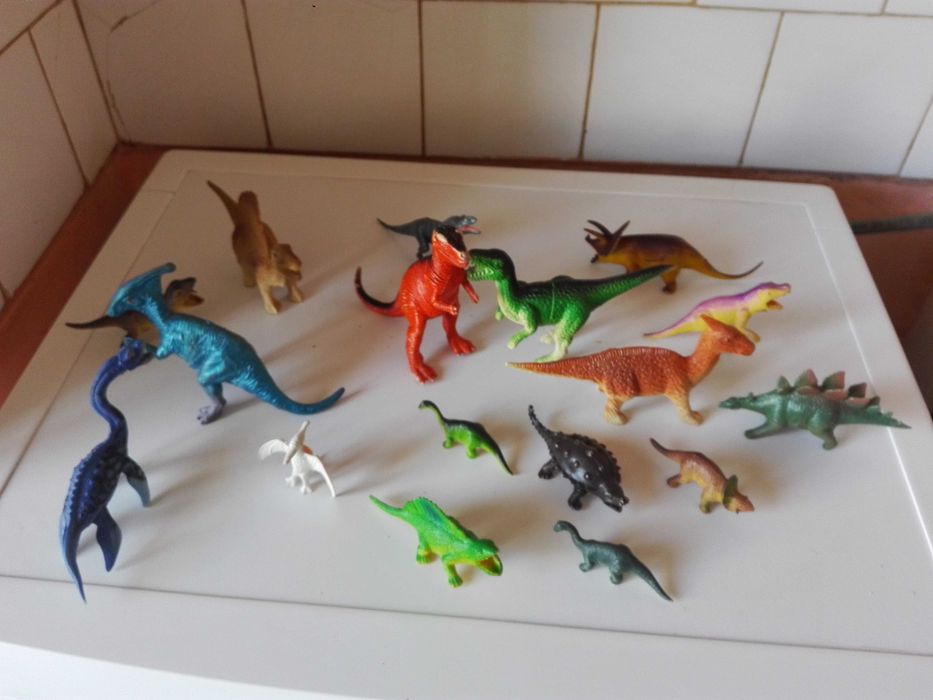 Две стари картини графика , пластмасови животни и ламаринен луноход .