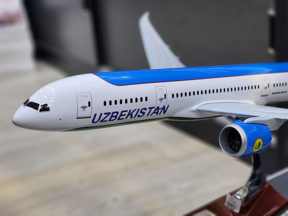 Самолёт Boeing 787 с чемоданом